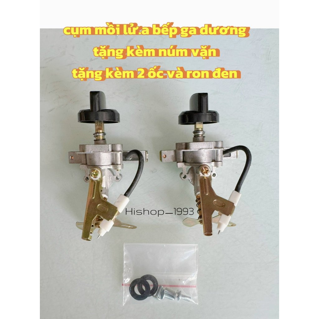 Bộ Chế hòa khí đánh lửa Fujishi + Tặng kèm ron, ốc - Cụm đánh lửa tự động Magneto cho bếp gas dương