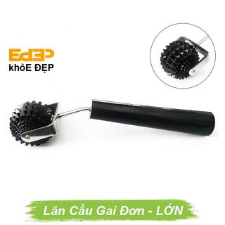 Lăn cầu gai đơn lớn sừng - dụng cụ diện chẩn loại 1