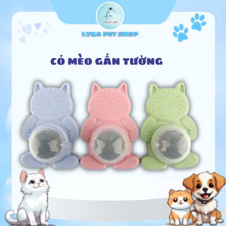 Catnip gắn tường, cỏ mèo dán tường, cỏ bạc hà mèo, viên catnip xoay tròn cho mèo