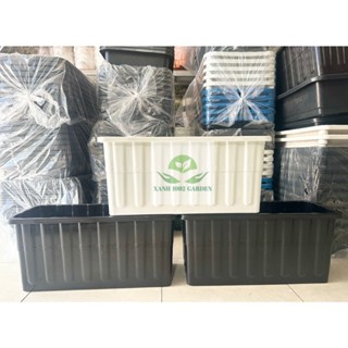 Combo 03 Khay chậu nhựa cỡ lớn trồng rau sạch thông minh | Khay trồng rau thế hệ mới (KT 64x26x30cm)