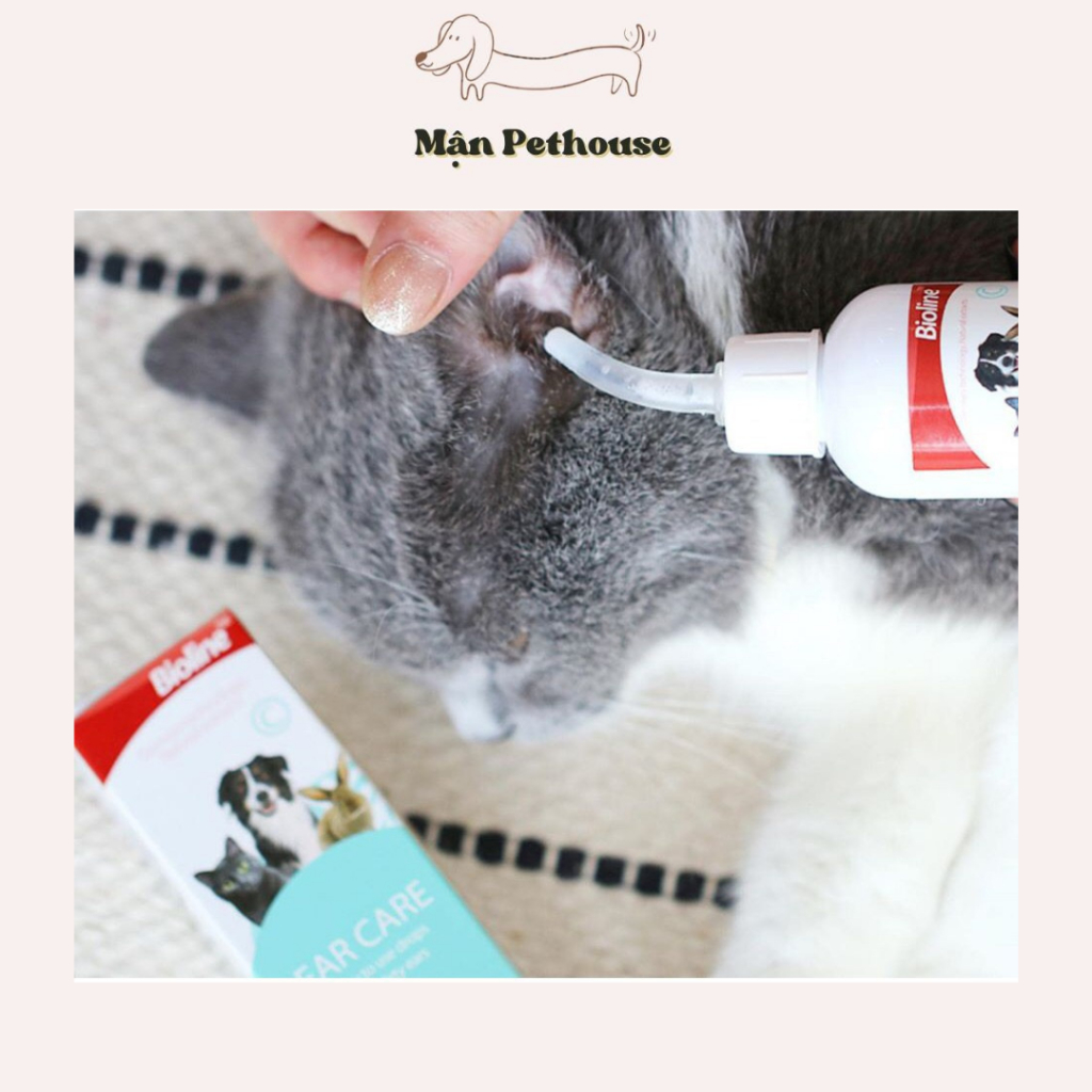 Nước nhỏ tai, dung dịch Vệ sinh tai và chữa Viêm tai Chó Mèo Ear Care Bioline - 50ml