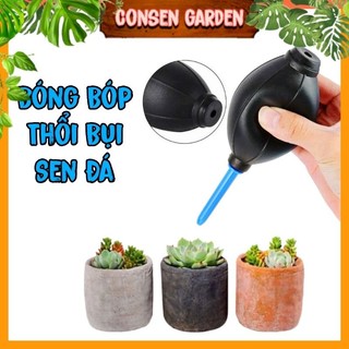 Bóng Bóp Cao Su Thổi Bụi Sen Đá, Vệ Sinh Ống Kính