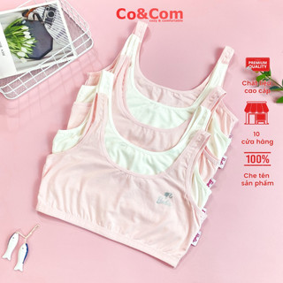 Áo lá học sinh cotton cao cấp Coandcom AL-A005