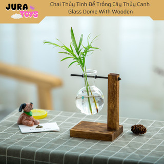 Bộ Chai Thủy Tinh Để Trồng Cây Thủy Canh Khung Gỗ Kèm Chai Thủy Tinh Trồng Cây Trang Trí Bàn Học Văn Phòng và Decor