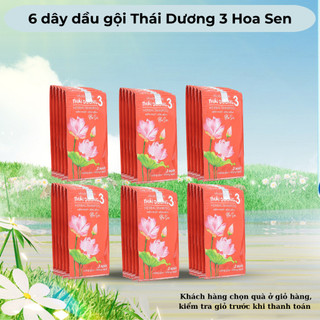 Combo 6 dây dầu gội Thái Dương 3 Hoa Sen