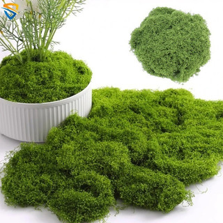Rêu nhân tạo,rêu giả trang trí sân vườn,cây cảnh,bể cá,tiểu cảnh,rêu thảm cỏ