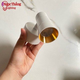 Đèn rọi tranh ảnh gắn tường phòng ngủ phòng khách bảo hành 24 tháng Led vàng 6W PT97A Ngọc Thắng