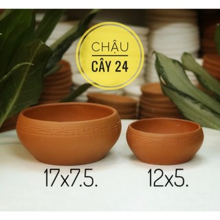 Chậu đất nung trồng sen đá, xương rồng ang thấp