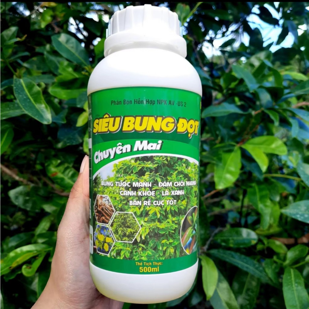 SIÊU BUNG ĐỌT RA RỄ MAI VÀNG (CHAI 500ML) - PHÂN BÓN KÍCH ĐỌT, LÁ, RỄ CHO MAI QUANH NĂM - CÔNG THỨC CẢI TIẾN HIỆU QUẢ CH
