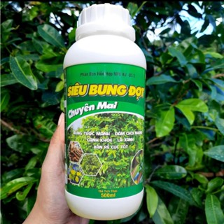 SIÊU BUNG ĐỌT RA RỄ MAI VÀNG (CHAI 500ML) - PHÂN BÓN KÍCH ĐỌT, LÁ, RỄ CHO MAI QUANH NĂM - CÔNG THỨC CẢI TIẾN HIỆU QUẢ CH