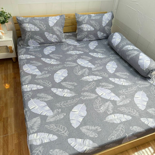 Bộ Ga Thun Hàn Quốc Lá Xám ( 4 món ko mền )
