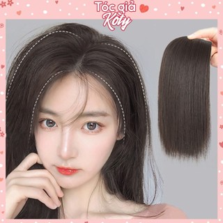 Tóc giả kẹp làm phồng chân tóc shop Koty, độn mái phồng làm dày tóc 2 bên T14