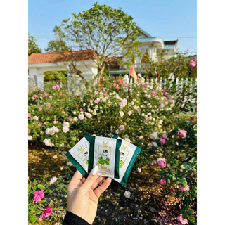 Cà phê giảm cân HT slim plus
