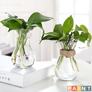 Lọ thủy tinh eo nhỏ miệng loe / bình bông lọ hoa thủy tinh eo nhỏ đựng củ tiên ông hoặc hành tây