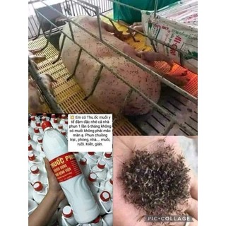 Phun muỗi sinh học bệnh viện chai 1.5lít