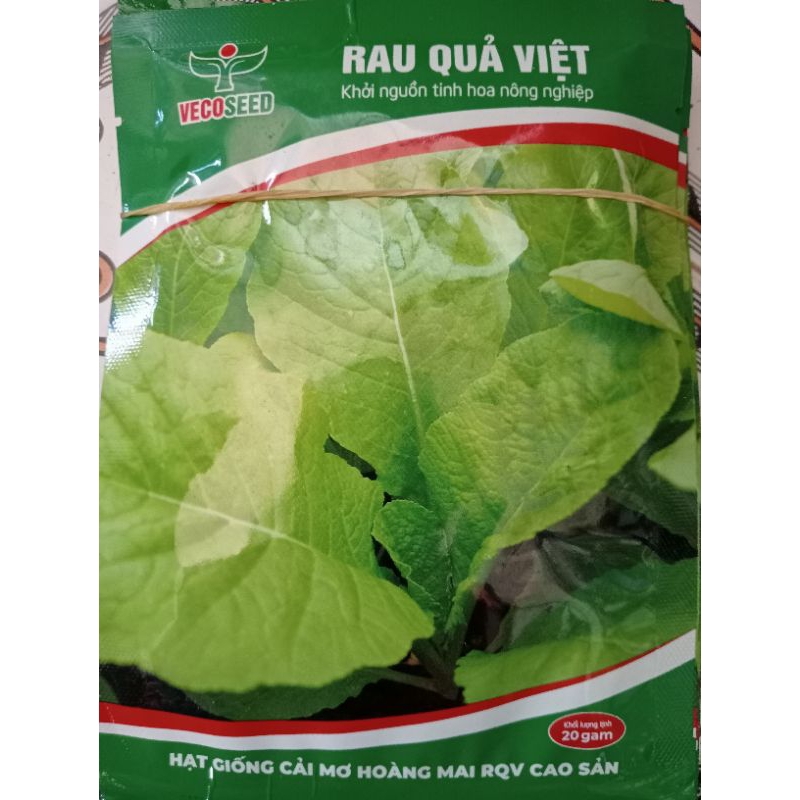 Hạt giống cải canh mơ Hà Nội
