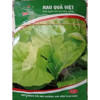 Hạt giống cải canh mơ Hà Nội