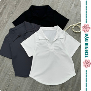 Áo thun polo bigsize 40-92kg nữ tay ngắn tà bầu tôn eo chất thun gân mềm mịn co giãn G120