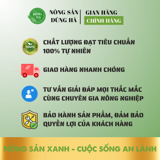Nước tăng lực Redbull 250 ml