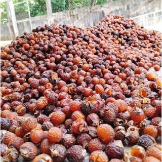 1kg Quả Bồ Hòn Đã Tách Hạt