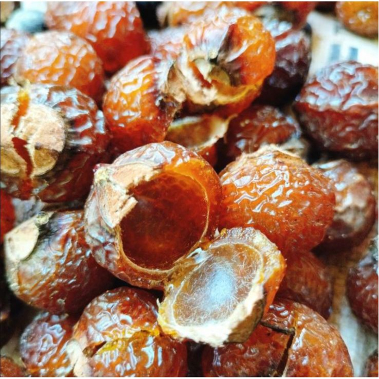 1kg Quả Bồ Hòn Đã Tách Hạt
