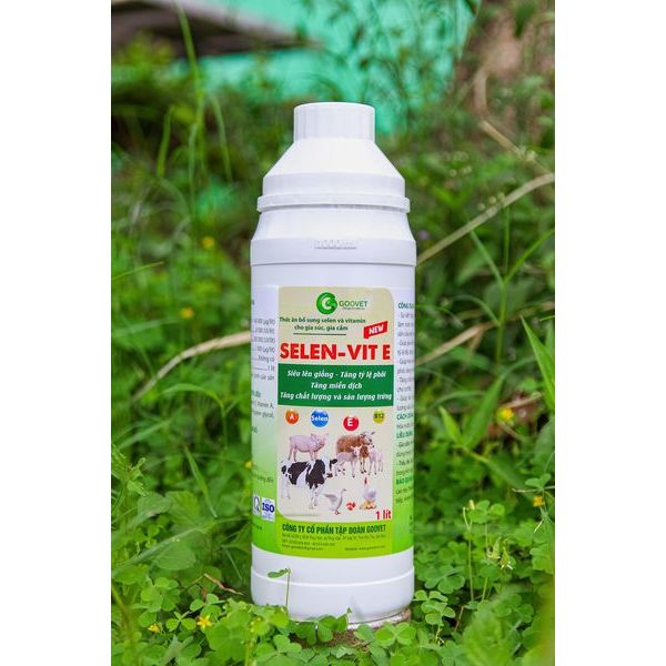 SELEN - VIT E NEW - 1 LÍT-GOOVET - giúp cho vật nuôi mau lên giống, tăng tỷ lệ phôi, tăng chất lượng