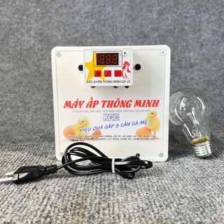 MÁY ẤP TRỨNG GIA CẦM 2025