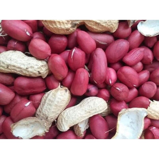 500g nhân lạc đỏ/ đậu phộng đỏ loại 1 nghệ an
