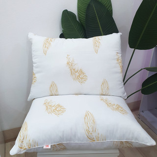 Ruột gối nằm 50x70cm in lông vũ cao cấp