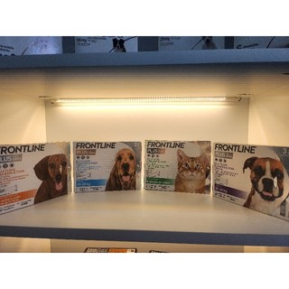 Trị ve rận Frontline Plus Dog