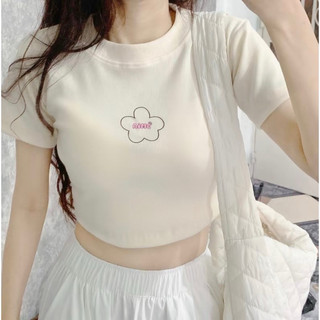 Áo croptop thêu hoa Aimé thời trang Hàn Quốc