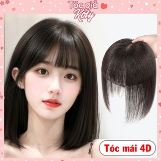 Tóc giả che hói 25cm Koty, tóc giả mái thưa 3D phủ hói cao cấp T217