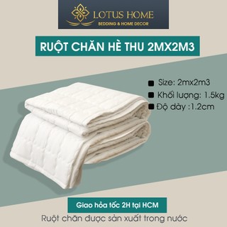Ruột chăn hè thu 2mx2m3 bề mặt vải cotton chần bông tấm 3 lớp không vón cục mềm mát