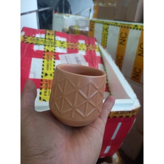 chậu gốm  trồng sen đá