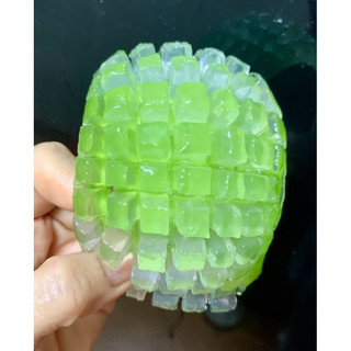 COMBO 2 kg Bẹ nha đam Mỹ (6 -7 bẹ / 2 kg)