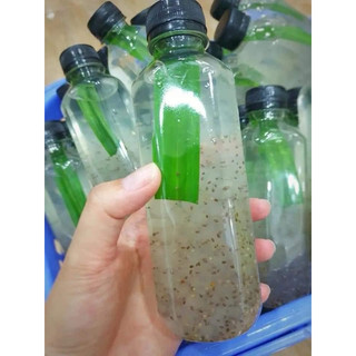 COMBO 2 kg Bẹ nha đam Mỹ (6 -7 bẹ / 2 kg)