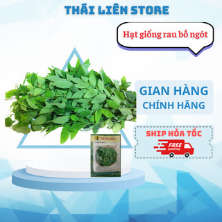 Hạt giống bồ ngót rau bồ ngót dễ trồng năng xuất cao - giống tốt bộ thu