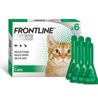 Trị ve rận FRONTLINE PLUS CAT mèo