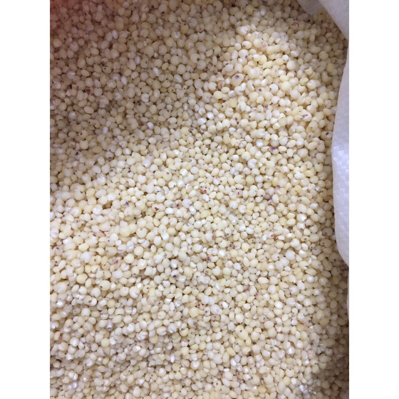 500g hạt ý dĩ bo bo