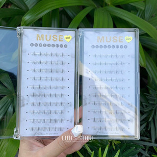 Lông Mi Muse 10 Hàng