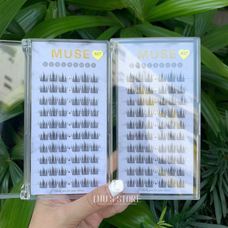 Lông Mi Muse 10 Hàng