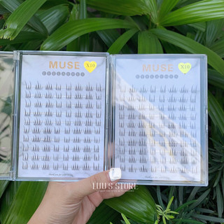 Lông Mi Muse 10 Hàng