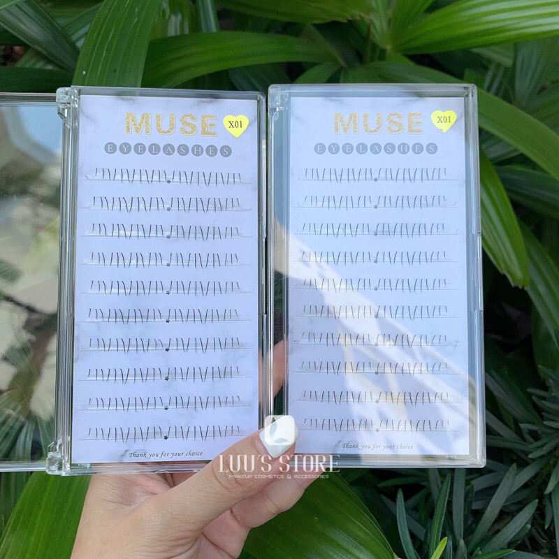 Lông Mi Muse 10 Hàng