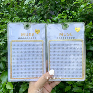 Lông Mi Muse 10 Hàng