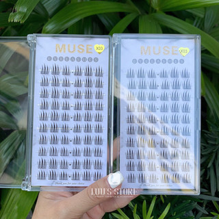 Lông Mi Muse 10 Hàng