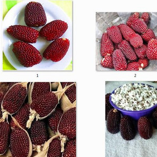 Hạt giống Ngô Dâu Tây Mini (Strawberry Popcorn) - 30 Hạt.Gói