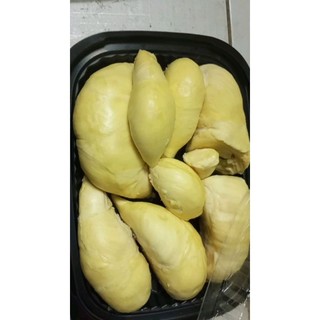 [ Trái] Sầu Thái Dona mini