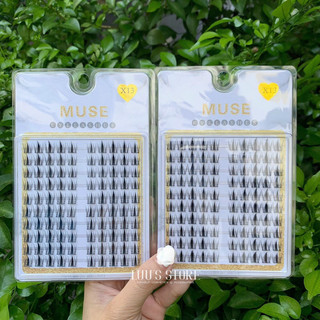 Lông Mi Muse 10 Hàng