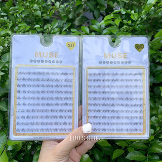 Lông Mi Muse 10 Hàng