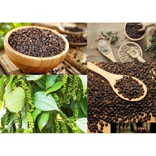 Tiêu Hạt Đắk Nông 500g